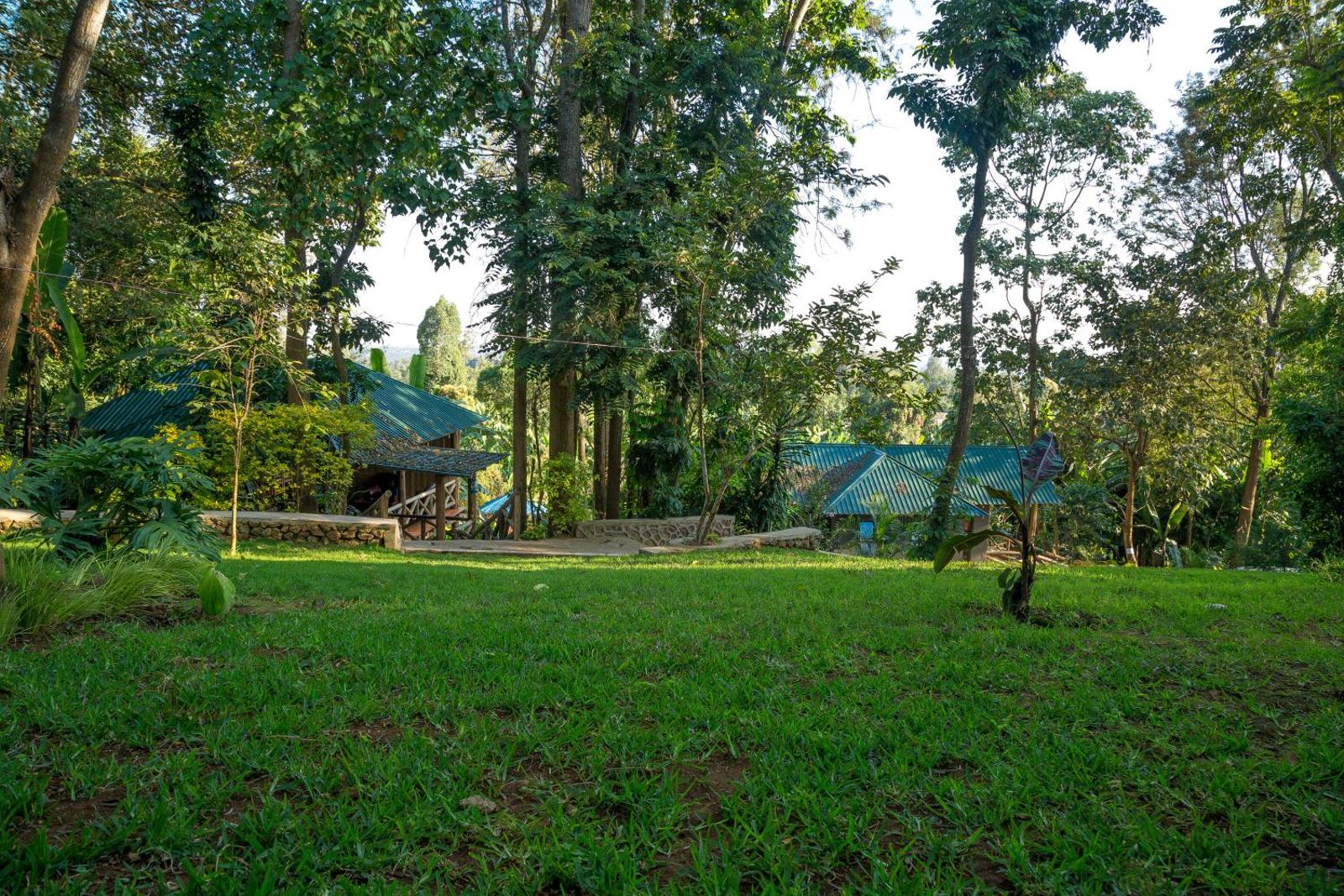 Malkia Trees Lodge